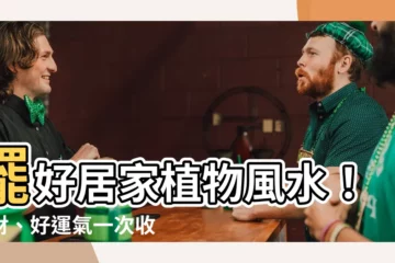 【居家植物風水】擺好居家植物風水！招財、好運氣一次收