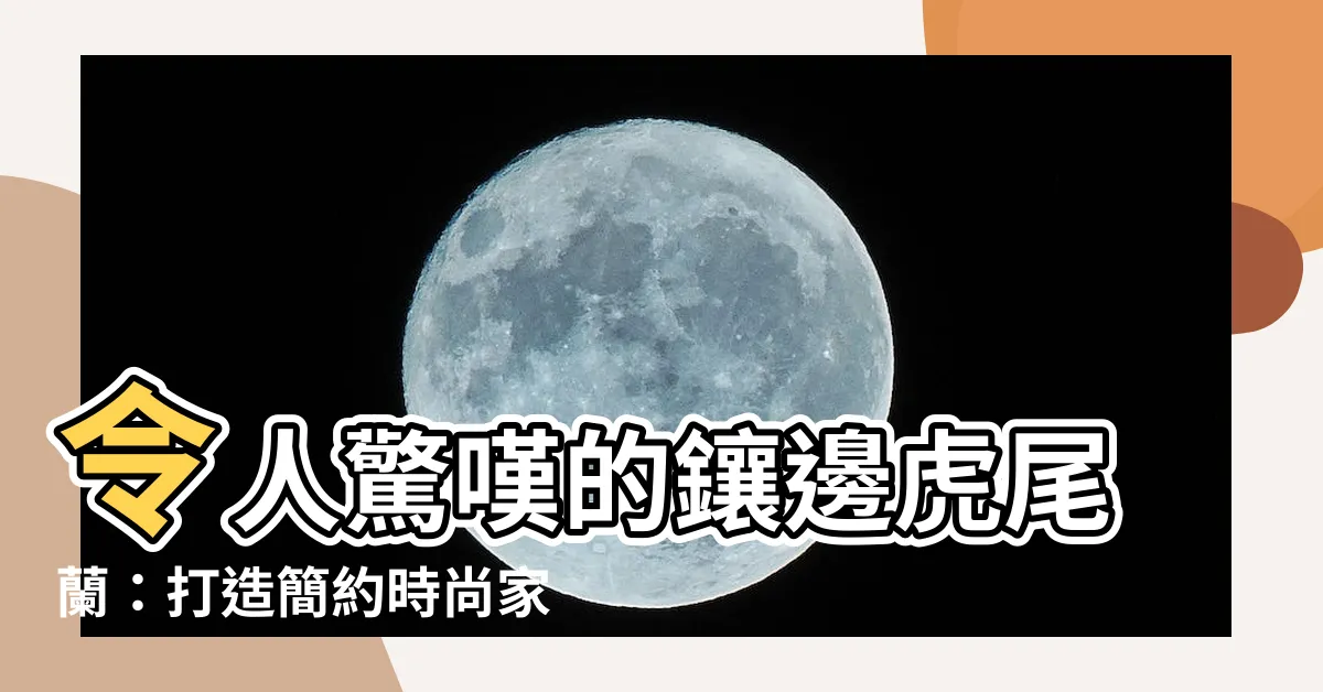 【鑲邊虎尾蘭】令人驚嘆的鑲邊虎尾蘭：打造簡約時尚家居的必備植物