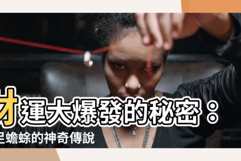 【三隻腳蟾蜍】財運大爆發的秘密：三足蟾蜍的神奇傳説