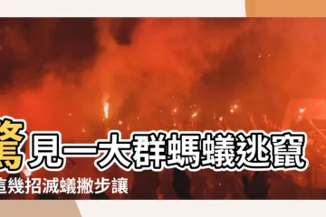 【一羣螞蟻】驚見一大羣螞蟻逃竄！這幾招滅蟻撇步讓牠們無所遁形