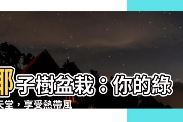 【椰子樹 盆栽】椰子樹盆栽：你的綠色天堂，享受熱帶風情！