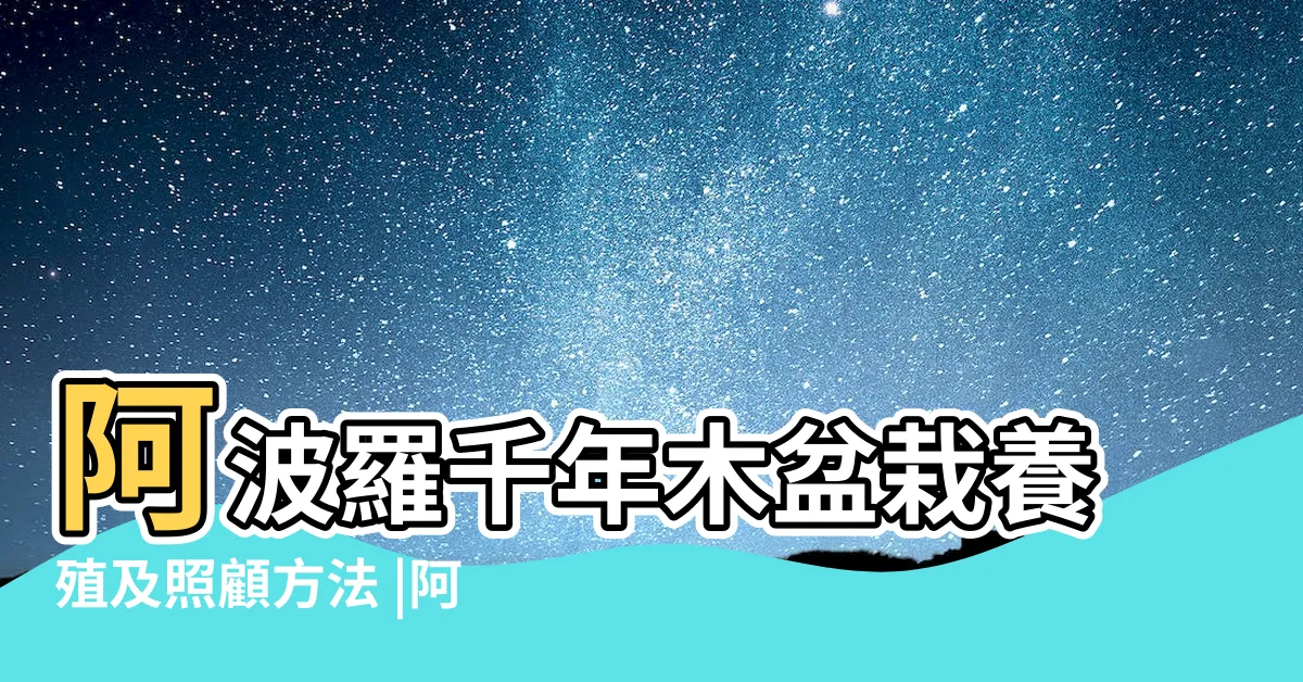 【阿波羅樹】阿波羅千年木盆栽養殖及照顧方法 |阿波羅千年木 |