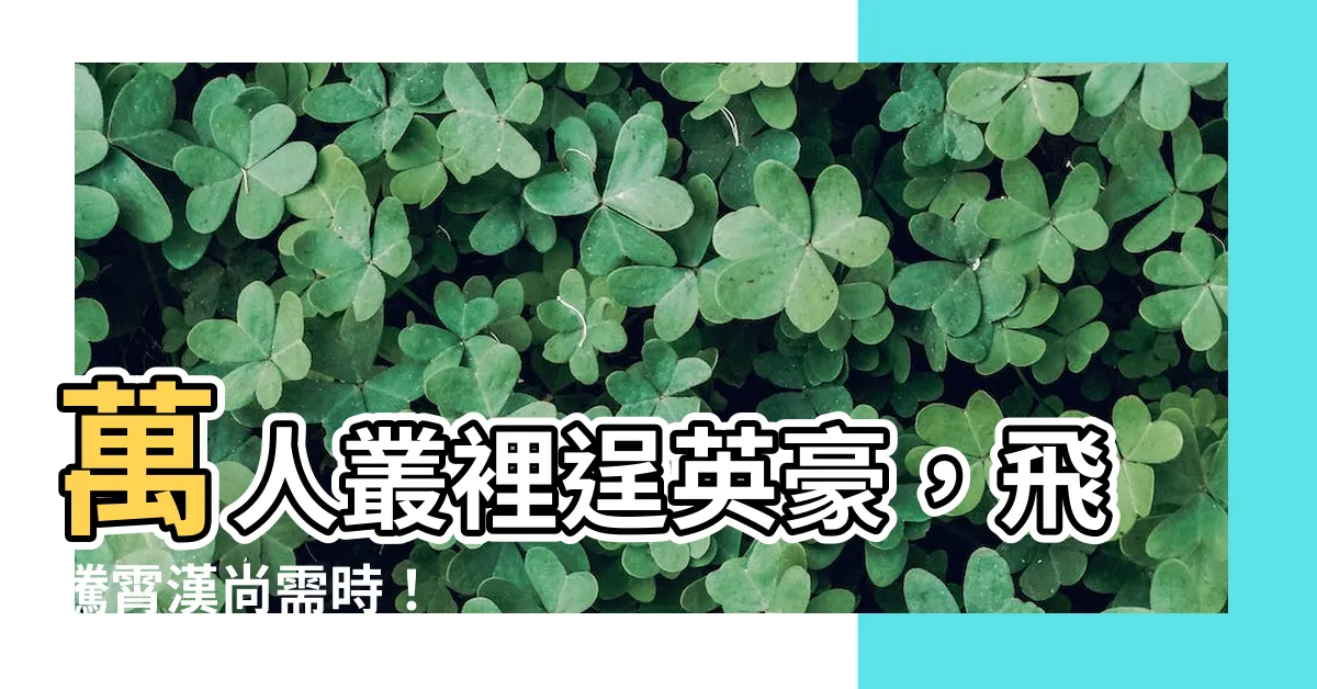【萬人叢裡逞英豪】萬人叢裡逞英豪，飛騰霄漢尚需時！