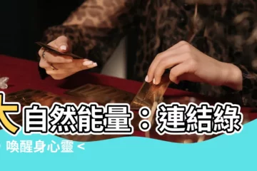【大自然能量】大自然能量：連結綠意，喚醒身心靈