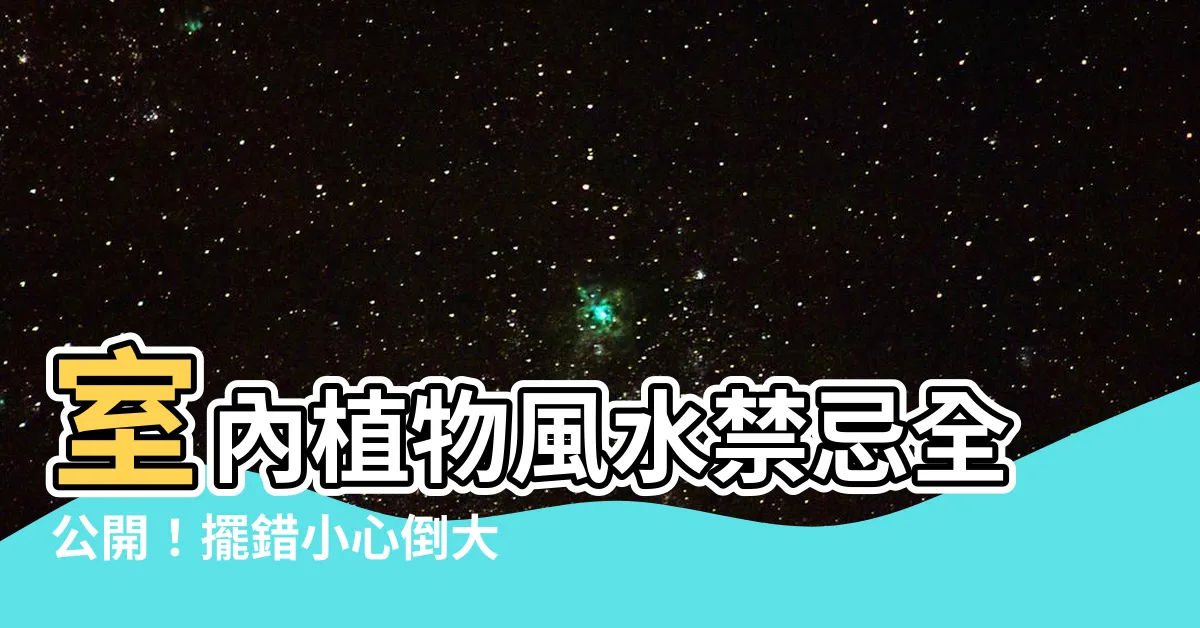 【植物風水禁忌】室內植物風水禁忌全公開！擺錯小心倒大楣