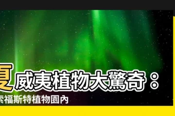 【夏威夷植物】夏威夷植物大驚奇：探索福斯特植物園內 20 種絕美花草