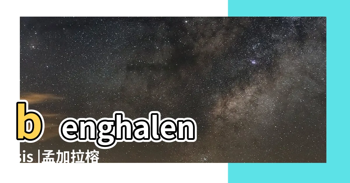 【孟加拉榕室內】benghalensis |孟加拉榕雖然台灣這 |孟加拉榕 |