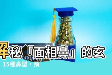 【面相 鼻】解秘「面相鼻」的玄機:15種鼻型,預見你的財富命運