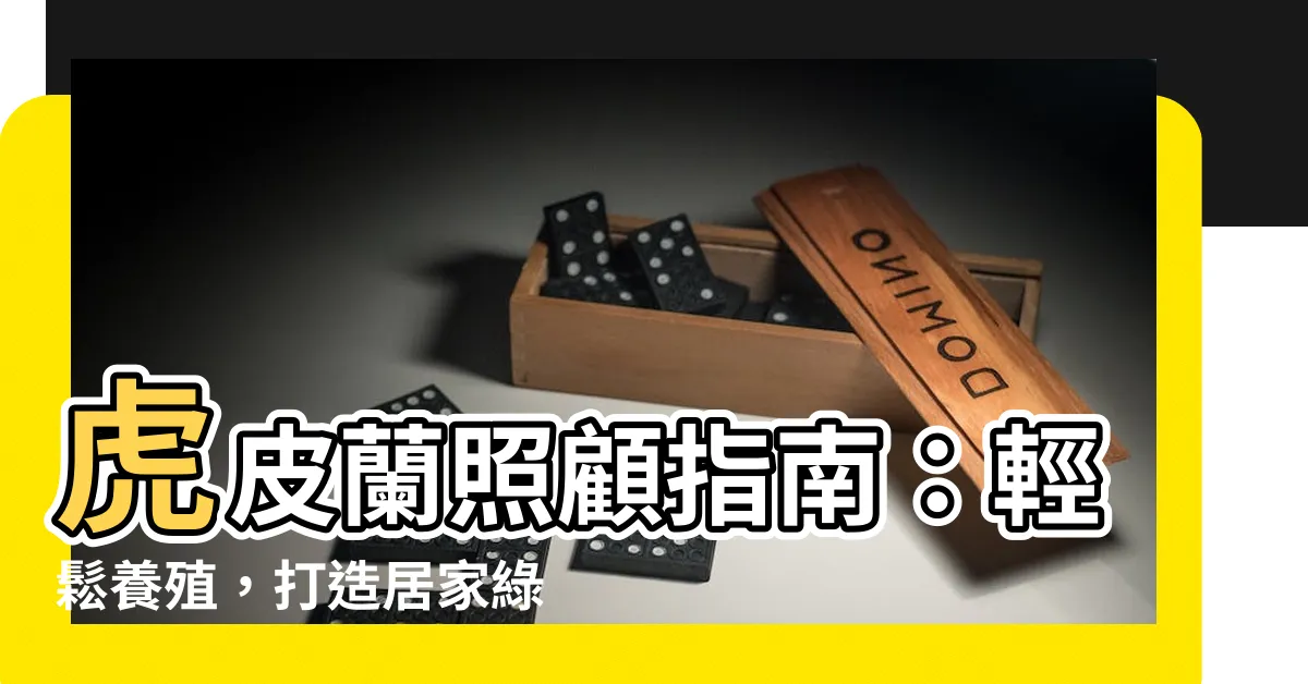 【虎皮蘭照顧】虎皮蘭照顧指南：輕鬆養殖，打造居家綠意