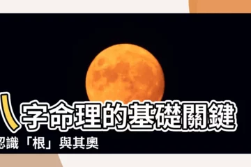 【八字 根】八字命理的基礎關鍵：認識「根」與其奧秘