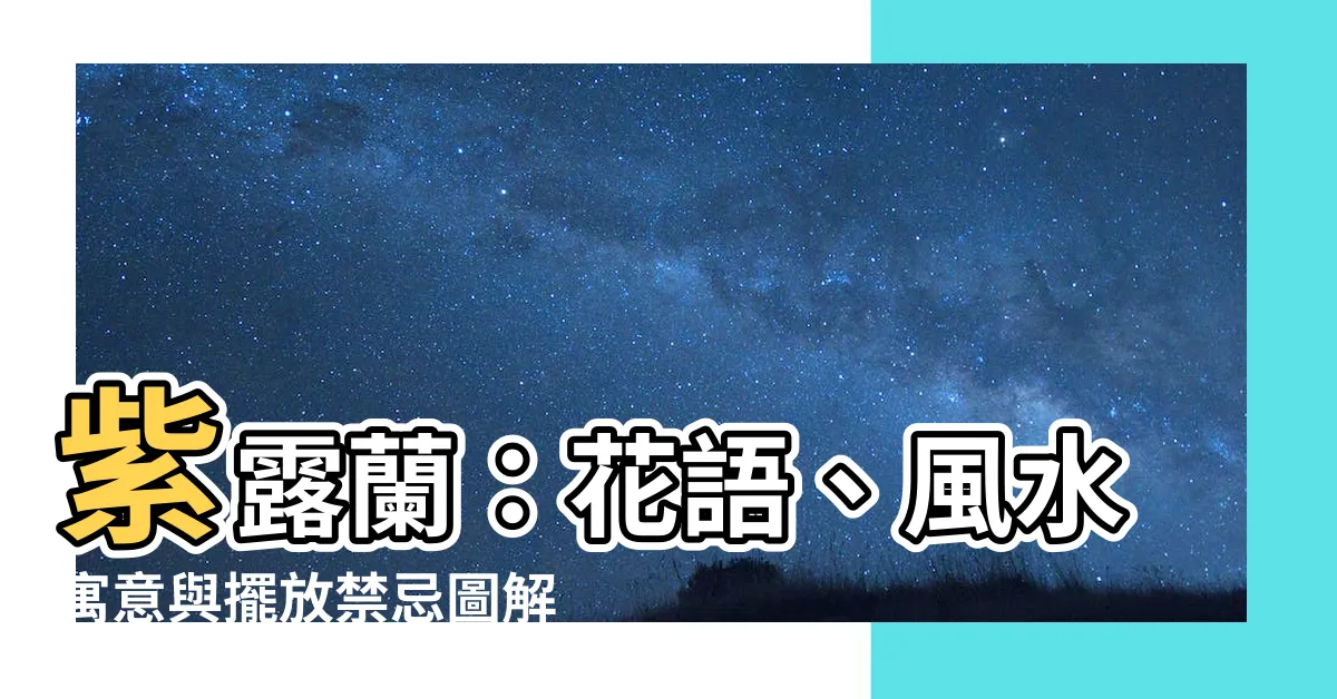 【紫露蘭風水】紫露蘭：花語、風水寓意與擺放禁忌圖解