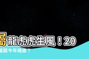 【屬 龍】屬龍虎虎生風！2024屬龍今年幾歲？歲數一覽無遺！
