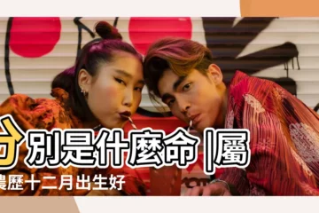 【12月出生屬牛人的】分別是什麼命 |屬牛農歷十二月出生好嗎 |農曆12月出生屬牛人命好嗎 |