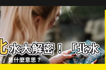 【北水 意思】北水大解密！「北水南下」是什麼意思？如何影響港股走向？