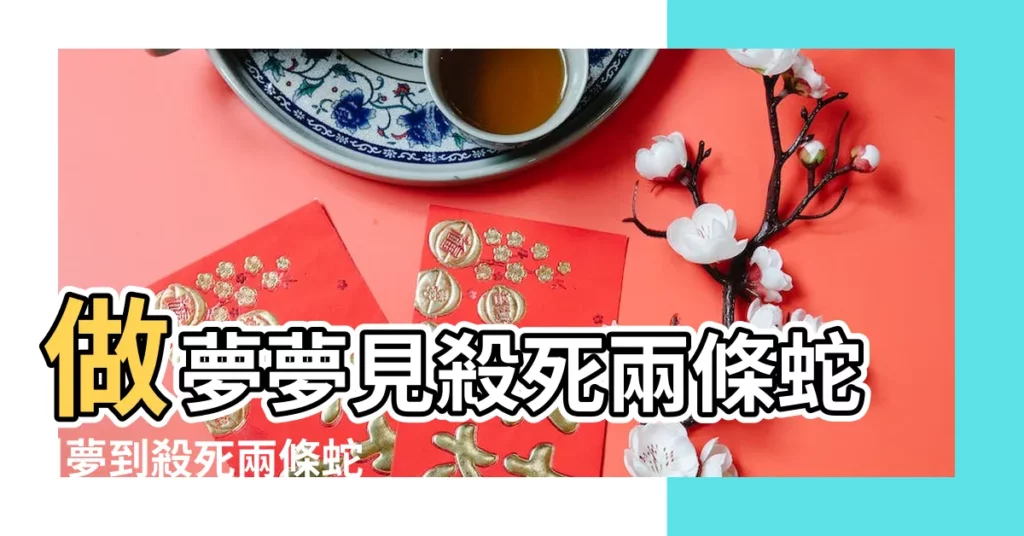 做夢夢見殺死兩條蛇 |夢到殺死兩條蛇是什麼意思 |夢見自己殺了兩條大蛇 |【夢見抓了兩條大蛇殺了】
