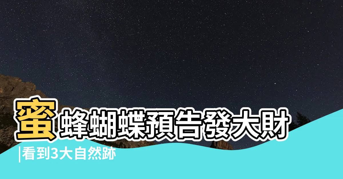 【家裡突然出現蝴蝶】蜜蜂蝴蝶預告發大財 |看到3大自然跡象有福了 |能趕出去嗎 |