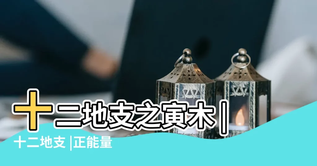 十二地支之寅木 |十二地支 |正能量的化身 |【寅木是指什麼時間】