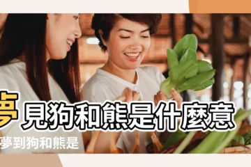【夢見一隻狗和一隻熊】夢見狗和熊是什麼意思 |夢到狗和熊是什麼意思 |夢見狗熊 |