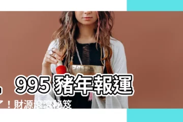 【1995 屬豬】1995 豬年報運來了！財源滾滾秘笈大公開！