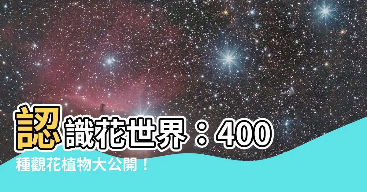 【花有哪些】認識花世界：400種觀花植物大公開！