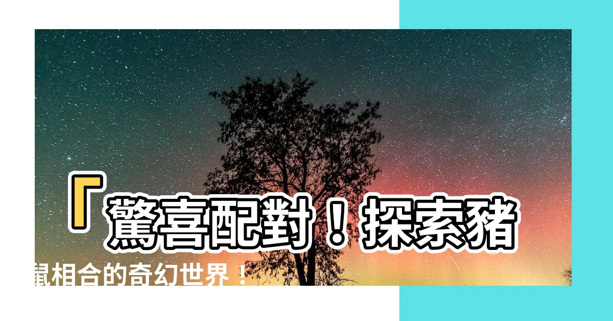 【豬鼠相合】「驚喜配對！探索豬鼠相合的奇幻世界！」