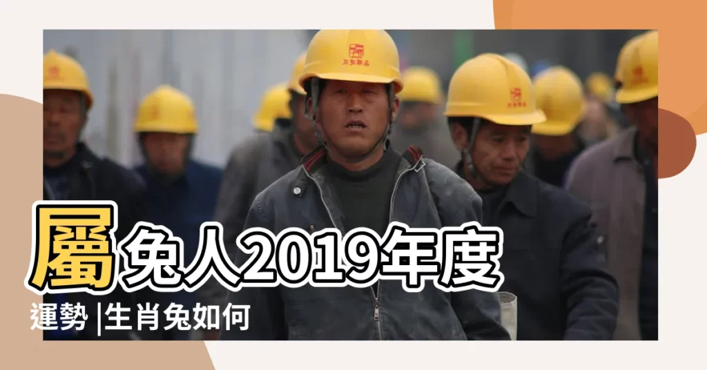 屬兔人2019年度運勢 |生肖兔如何提升自己的桃花 |2019屬相兔子桃花2018屬兔生肖的桃花位 |【2019屬相兔子桃花】