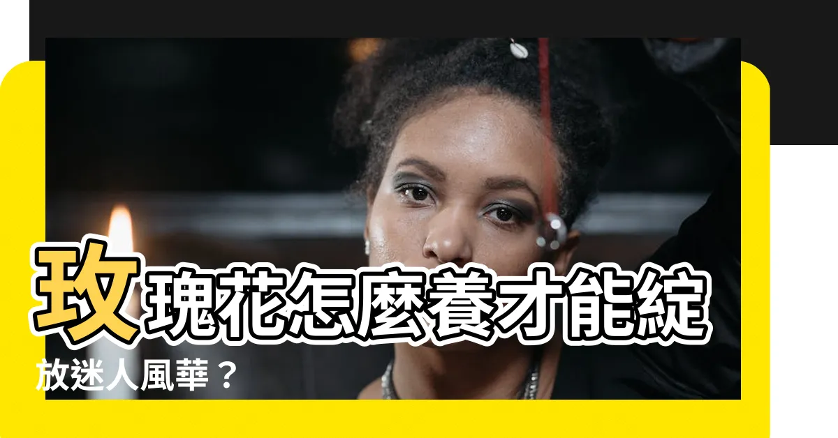 【玫瑰花怎麼養】玫瑰花怎麼養才能綻放迷人風華？