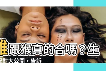 【雞跟猴合嗎】雞跟猴真的合嗎？生肖配對大公開，告訴你雞猴相配的秘密！