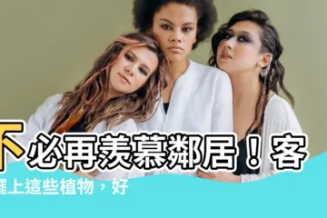 【適合放在客廳的植物】不必再羨慕鄰居！客廳擺上這些植物，好運財氣樣樣來