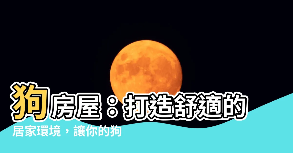 【狗房屋】狗房屋：打造舒適的居家環境，讓你的狗狗愛上它的新家！