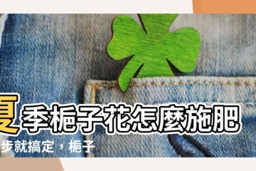 【梔子花施肥時間】夏季梔子花怎麼施肥？3步就搞定，梔子花香翻整個夏季！