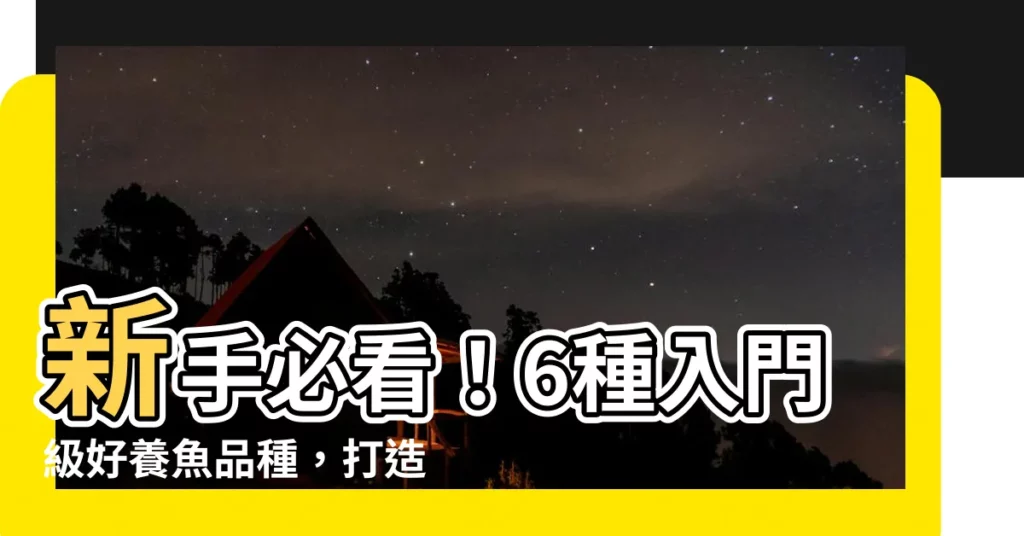 【好養的魚】新手必看！6種入門級好養魚品種，打造療癒居家水族箱