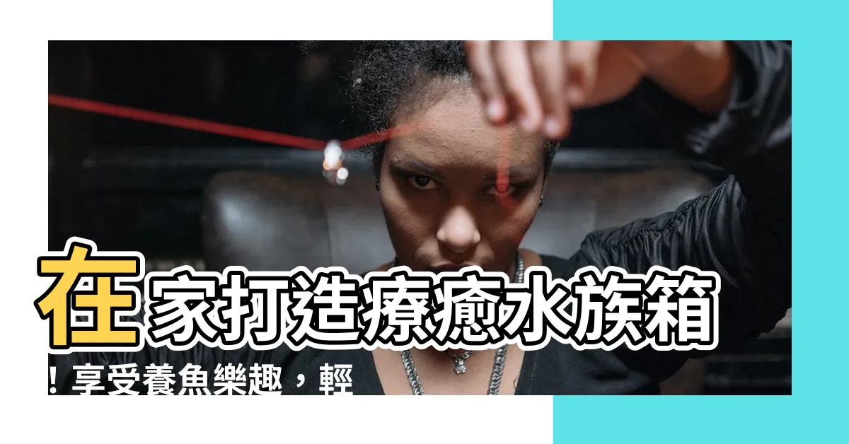 【可以養的魚】在家打造療癒水族箱！享受養魚樂趣，輕鬆飼養可愛的觀賞魚