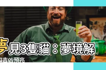 【夢見3隻貓】夢見3隻貓：夢境解析和吉凶預兆