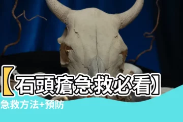【石頭倉】【石頭瘡急救必看】6大急救方法+預防之道！