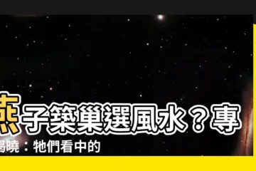 【燕子巢 風水】燕子築巢選風水？專家揭曉：牠們看中的竟是「這點」！