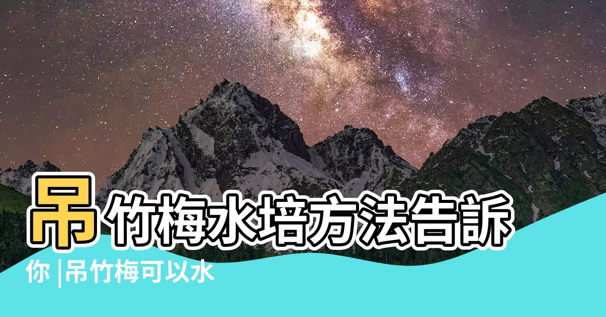 【吊竹梅水種】吊竹梅水培方法告訴你 |吊竹梅可以水培嗎 |吊竹梅水培養殖方法介紹 |