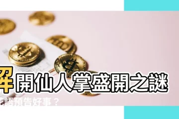 【仙人掌為什麼會開花】解開仙人掌盛開之謎：花語預告好事？