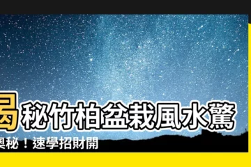 【竹柏盆栽風水】揭秘竹柏盆栽風水驚人奧秘！速學招財開運小撇步