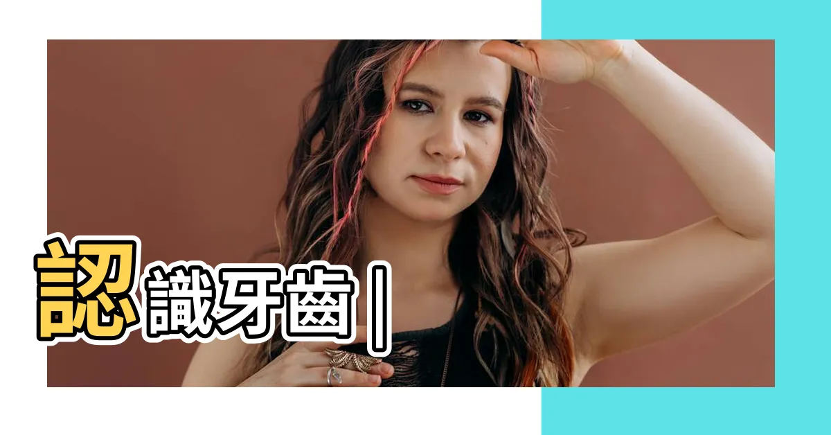 【門牙】認識牙齒 |