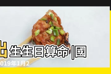 【2019年陰曆1月28日8點50分生】出生生日算命 |國曆2019年1月28日是農曆幾月幾日 |2019年1月28日出生的人命好嗎 |