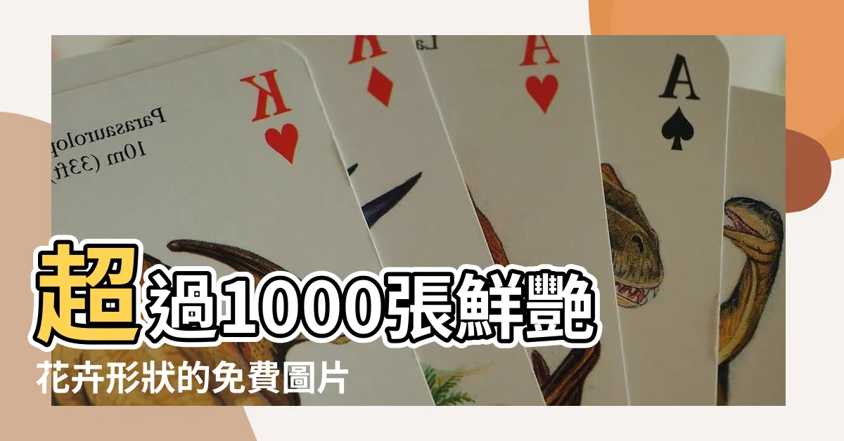 【花的形狀】超過1000張鮮艷花卉形狀的免費圖片 - 深入探索花的美麗