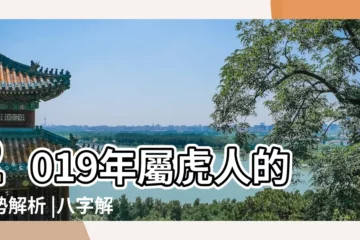 【2019年唐嫣運勢】2019年屬虎人的運勢解析 |八字解析之唐嫣 |緣來是你 |