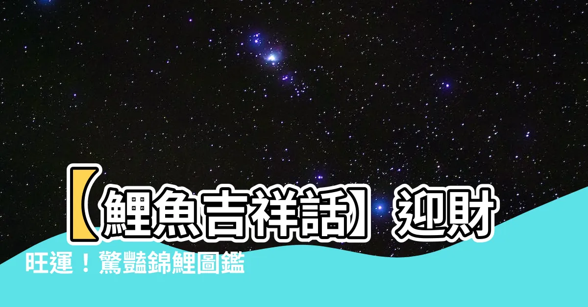 【錦鯉吉祥話】【鯉魚吉祥話】迎財旺運！驚豔錦鯉圖鑑大公開