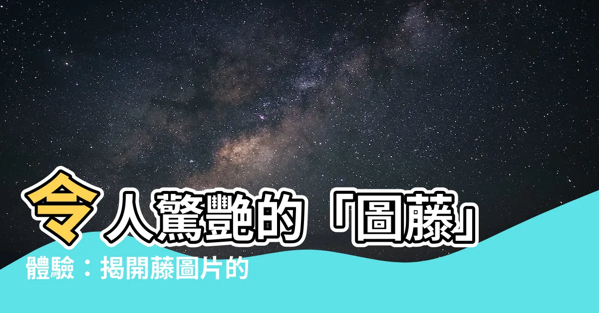 【圖藤】令人驚艷的「圖藤」體驗：揭開藤圖片的神秘面紗