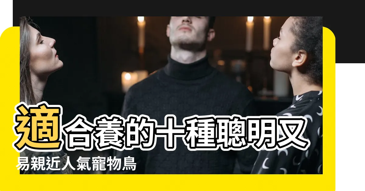 【適合養的鳥】適合養的十種聰明又易親近人氣寵物鳥