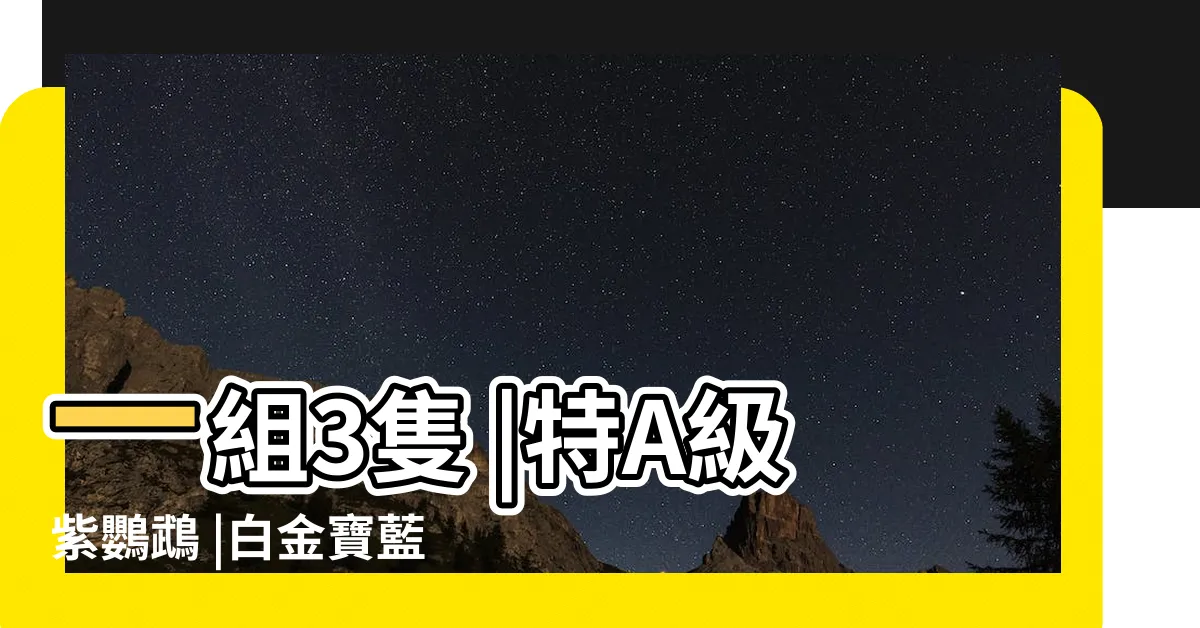 【血鸚鵡價格】一組3隻 |特A級紫鸚鵡 |白金寶藍 |