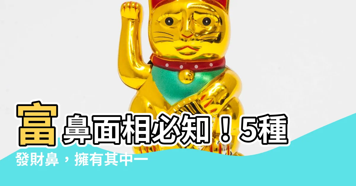 【富鼻 面相】富鼻面相必知！5種發財鼻，擁有其中一種一生富貴錢財滾滾來
