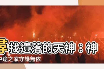 【神尊中途之家】尋找遺落的天神：神尊中途之家守護無依神明