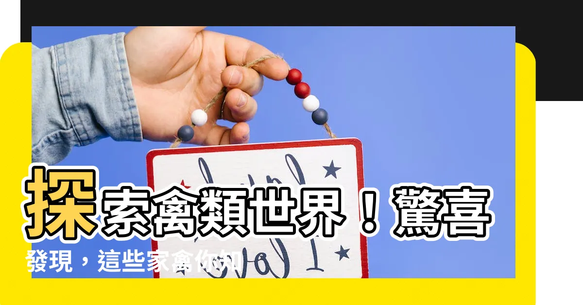 【禽類有哪些】探索禽類世界！驚喜發現，這些家禽你知道嗎？